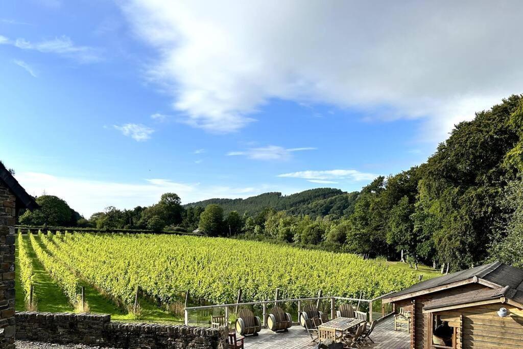 Vineyard Country Cottage Llanerch-Aeron Eksteriør bilde